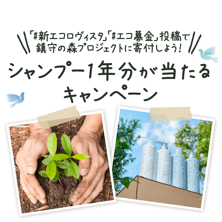 「#新エコロヴィスタ」「#エコ募金」投稿で鎮守の森プロジェクトに寄付しよう！シャンプー1年分が当たるキャンペーン